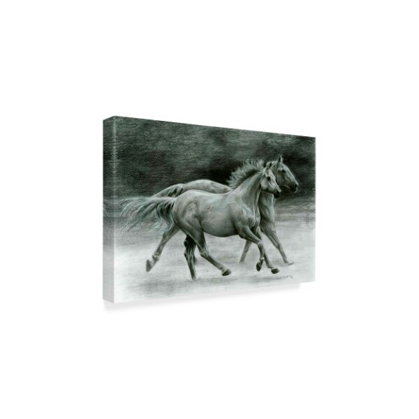 Carla Kurt 'Gray Horses Running Free' Canvas Art,22x32